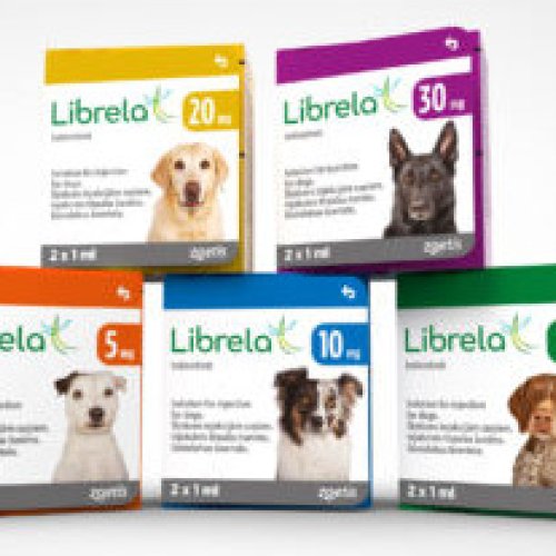 Zoetis Injectable Zoetis Injectable