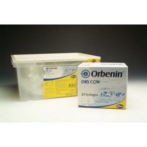 Orbenin DC 120pk, POM-V Orbenin DC 120pk, POM-V