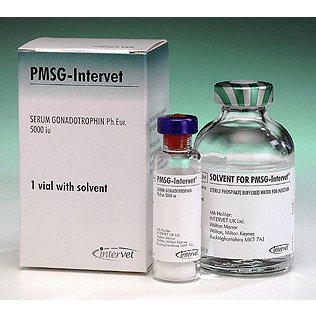 PMSg Powder + solvent 5000IU each (Fridge) , POM-V PMSg Powder + solvent 5000IU each (Fridge) , POM-V