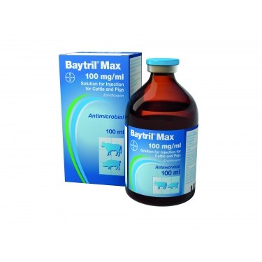 Baytril Max 100mg/ml Injection for cattle & pigs 100ml, POM-V Baytril Max 100mg/ml Injection for cattle & pigs 100ml, POM-V