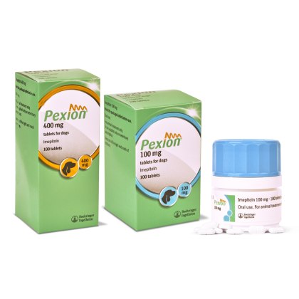 Pexion Tablets for Dogs, POM-V Pexion Tablets for Dogs, POM-V
