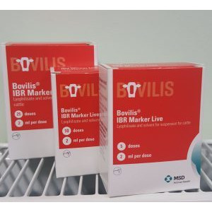 Bovilis IBR Marker LIVE(with applicators), POM-V (Fridge) Bovilis IBR Marker LIVE(with applicators), POM-V (Fridge)