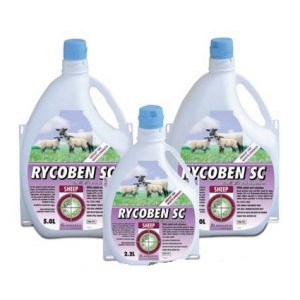 Rycoben SC Sheep, POM-VPS Rycoben SC Sheep, POM-VPS