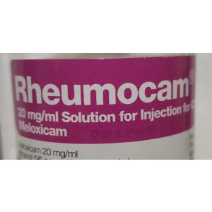 Rheumocam 20mg/ml Sol for Injection, POM-V Cattle, Pigs & Horses Rheumocam 20mg/ml Sol for Injection, POM-V Cattle, Pigs & Horses