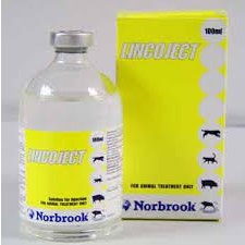 Lincoject, POM-V Lincoject, POM-V