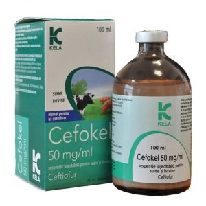 Cefokel 50mg/ml 100ml, POM-V Cefokel 50mg/ml 100ml, POM-V