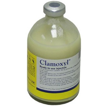 Clamoxyl RTU injection, POM-V Clamoxyl RTU injection, POM-V