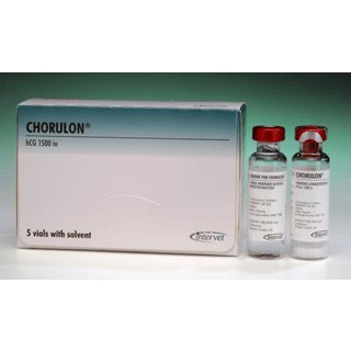 Chorulon 1500iu 5 pack, POM-V Chorulon 1500iu 5 pack, POM-V
