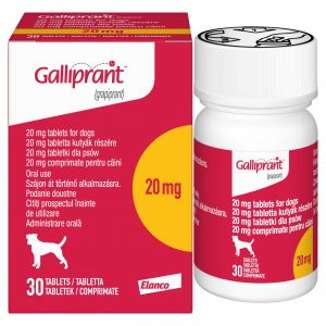 Galliprant Tablets For Dogs, POM-V