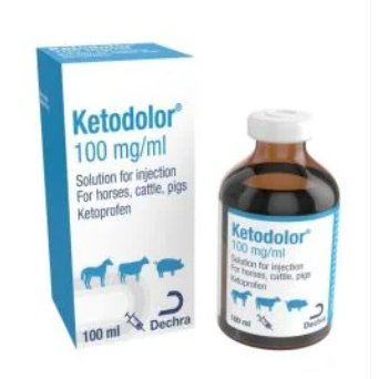 Ketodolor 100mg 100ml, POM-V Ketodolor 100mg 100ml, POM-V