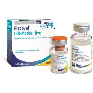 Rispoval IBR Marker LIVE with applicators, POM-V (Fridge) Rispoval IBR Marker LIVE with applicators, POM-V (Fridge)