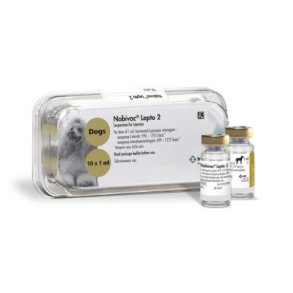 Nobivac Lepto 2 injection for dogs 1s POM-V (Fridge) Nobivac Lepto 2 injection for dogs 1s POM-V (Fridge)
