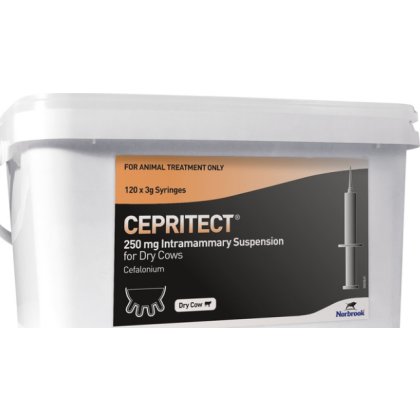 Cepritect 250 mg IMM Suspension Dry Cows 120s POM-V Cepritect 250 mg IMM Suspension Dry Cows 120s POM-V
