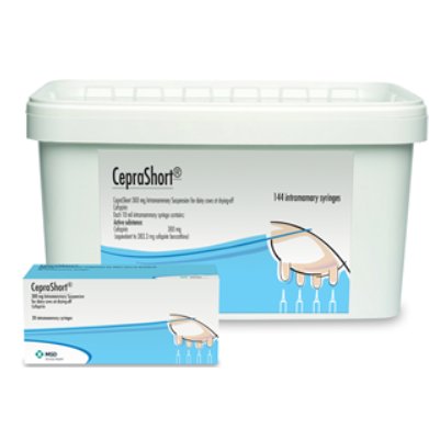 CepraShort 300mg Dry Cow 144s, POM-V CepraShort 300mg Dry Cow 144s, POM-V