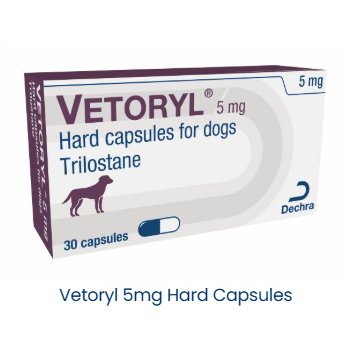 Vetoryl Hard Capsules for Dogs Vetoryl Hard Capsules for Dogs