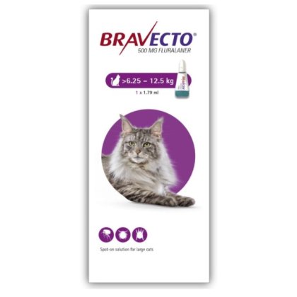 Bravecto Spot On Cat 1 dose POM-V Bravecto Spot On Cat 1 dose POM-V