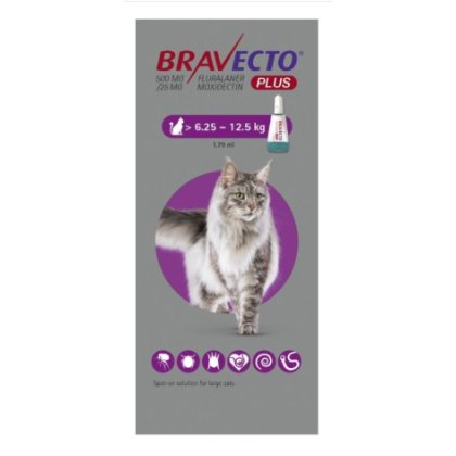 Bravecto PLUS Spot On for Cats. 1 dose POM-V Bravecto PLUS Spot On for Cats. 1 dose POM-V