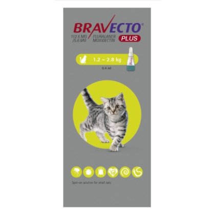 Bravecto PLUS Spot On for Cats. 1 dose POM-V Bravecto PLUS Spot On for Cats. 1 dose POM-V