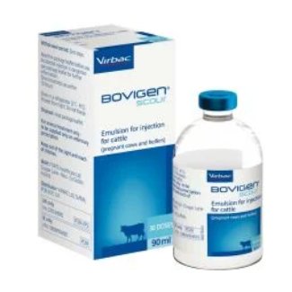 Bovigen Scour Emulsion for Injection for Cattle, POM-VPS (Fridge) Bovigen Scour Emulsion for Injection for Cattle, POM-VPS (Fridge)