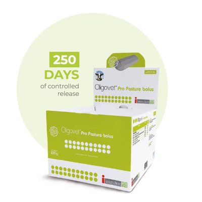 Oligovet Pro Pasture Bolus 220g Oligovet Pro Pasture Bolus 220g