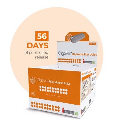Oligovet Reproduction 12 x 140g Oligovet Reproduction 12 x 140g