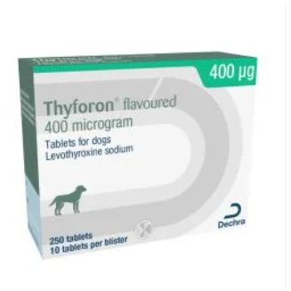 Thyforon Flavoured (Per Tablet) POM-V Thyforon Flavoured (Per Tablet) POM-V