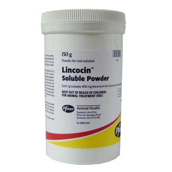 Lincocin Soluble Powder 150g, POM-V Lincocin Soluble Powder 150g, POM-V