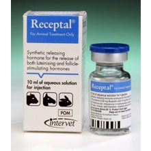 Receptal 10ml, POM-V Receptal 10ml, POM-V