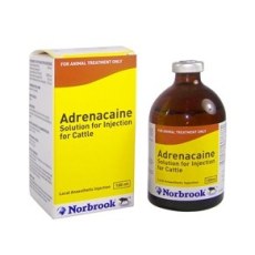 Adrenacaine 100ml, POM-VPS Adrenacaine 100ml, POM-VPS