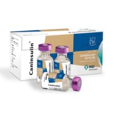 Caninsulin 40IU/ml, POM-V (fridge)