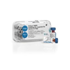 Nobivac DHPPi injection for dogs 1s POM-V (Fridge) Nobivac DHPPi injection for dogs 1s POM-V (Fridge)
