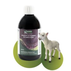 Precision Microbes Advanced Gut Stabiliser for Lambs 300ml Precision Microbes Advanced Gut Stabiliser for Lambs 300ml