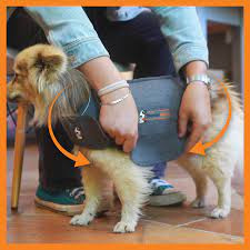 ThunderShirt ThunderShirt