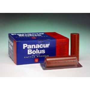 Panacur Bolus 10 pack, POM-VPS