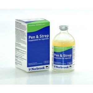 Pen & Strep Injection 100ml, POM-V