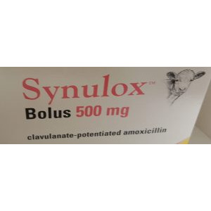 Synulox Bolus 500mg 20 pack, POM-V