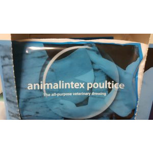 Animalintex Poultice 400mmx200mm