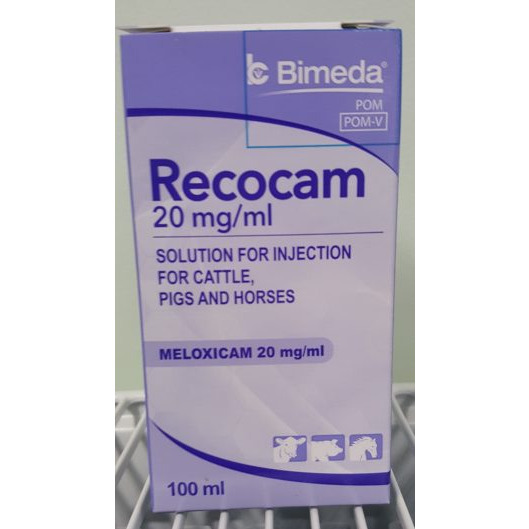 Recocam Injection 100ml, POM-V