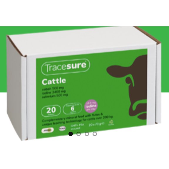 Animax Tracesure Ionox Bolus For Cattle Animax Tracesure Ionox Bolus For Cattle