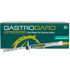 GastroGard 370 mg/g oral paste, POM-V