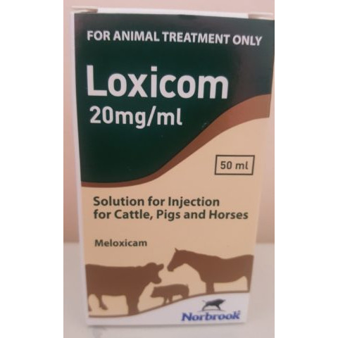 Loxicom 20 mg/ml Solution for Injection POM-V