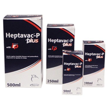 Heptavac P Plus, POM-VPS (Fridge)