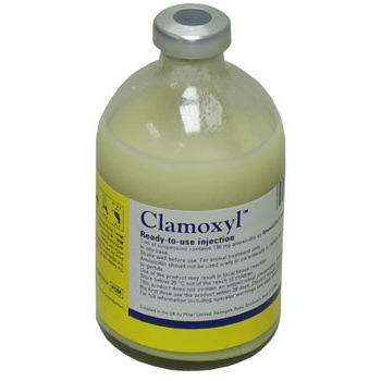 Clamoxyl RTU injection, POM-V