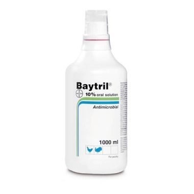 Baytril 10% oral, POM-V