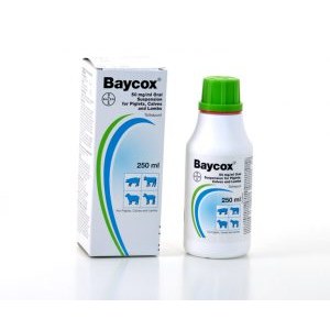 Baycox Multi 50mg/ml Oral suspension for piglets Calves & Lambs, POM-V