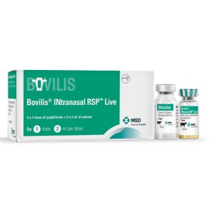 Bovilis INtranasal RSP Live (with plastic nasal adaptors), POM-V (Fridge)