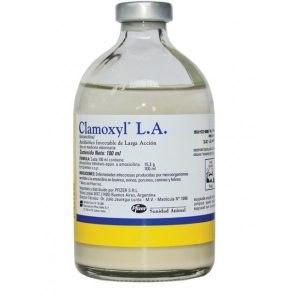 Clamoxyl LA 150mg/ml 100ml, POM-V