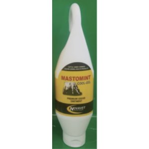 Mastomint Cool Gel 500ml