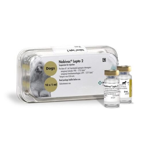 Nobivac Lepto 2 injection for dogs 1\s POM-V (Fridge)