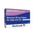Noroclav Tablets for cats & Dogs 50MG (EACH), POM-V